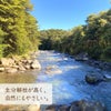 メイドインアース 液体せっけん 洗濯 食器 掃除用　ココヤシ洗剤