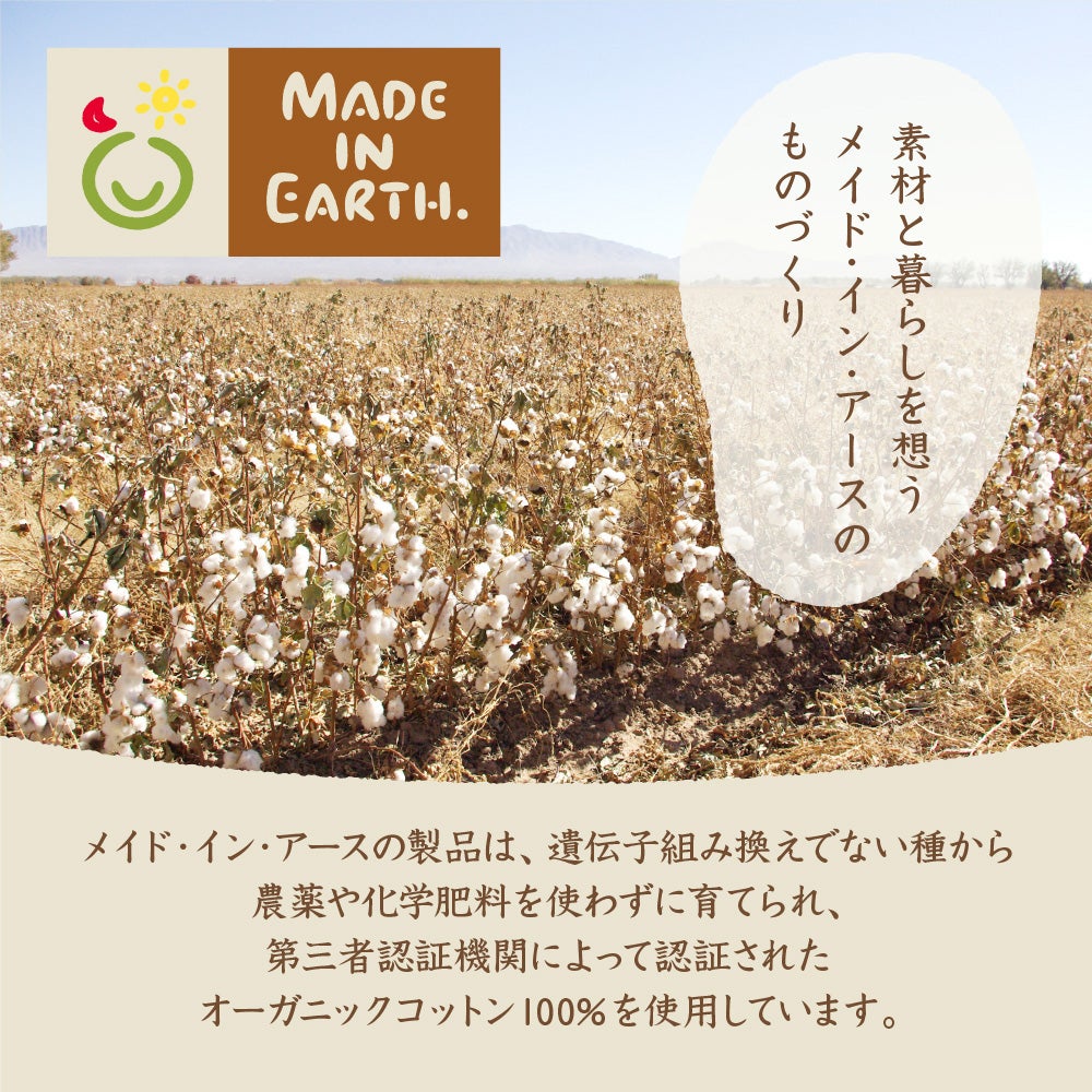 メイド・イン・アースの液体せっけん【詰替え用キューブ5L】　洗濯・食器・掃除用　ココヤシ洗剤