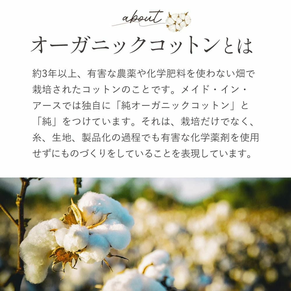 平織り　ピローケース　メイドインアース　オーガニックコットン