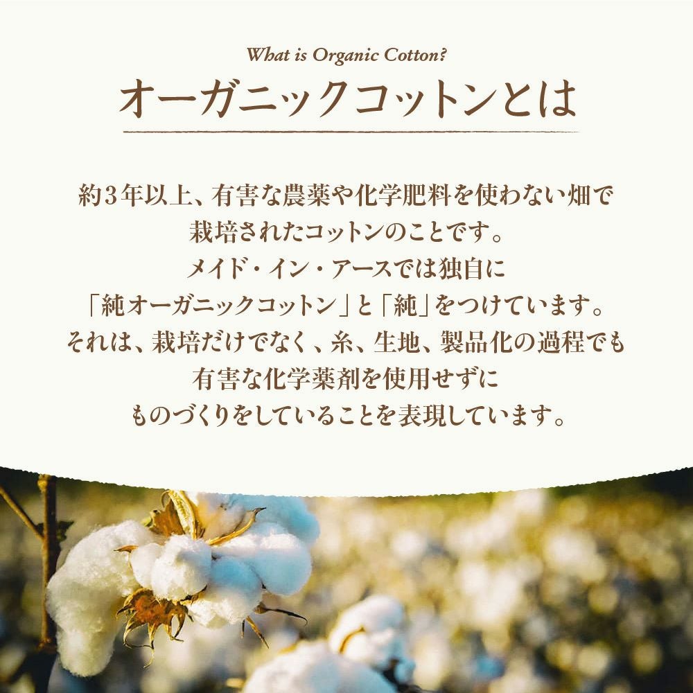 薄まくら　オーガニックコットン　メイドインアース