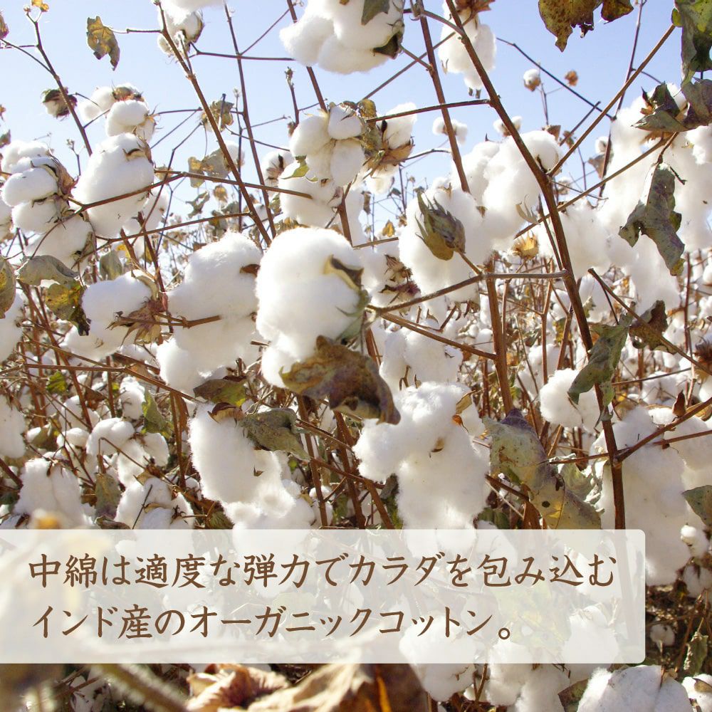 掛敷ふとんセット　シングル　オーガニックコットン　メイドインアーズ