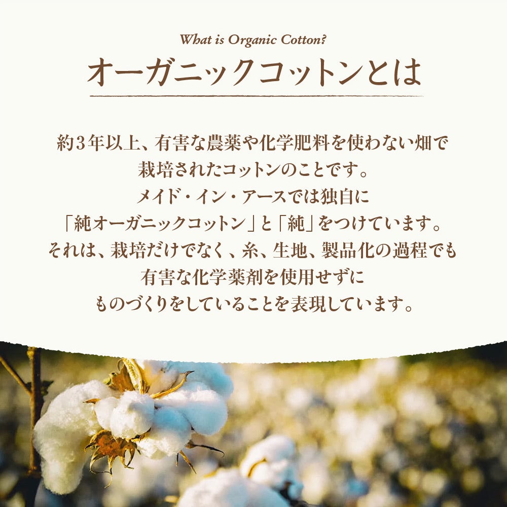オーガニックコットン　綿毛布　メイドインアース