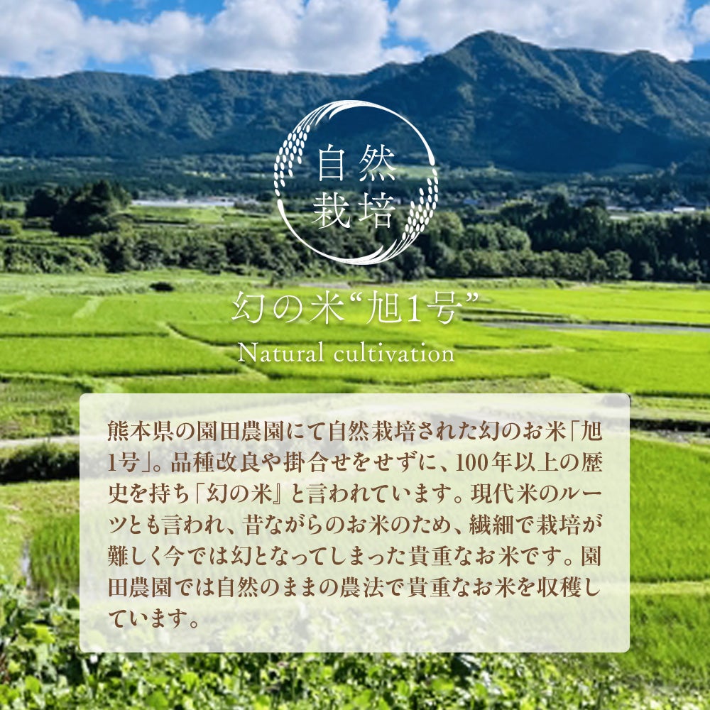 玄米ピロー　アイピロー　ネックピロー　オーガニックコットン　メイドインアース